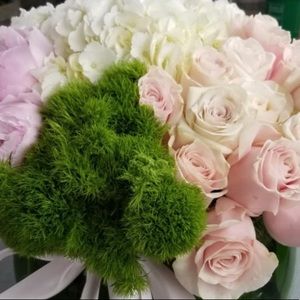 Meet your Posher, Rina